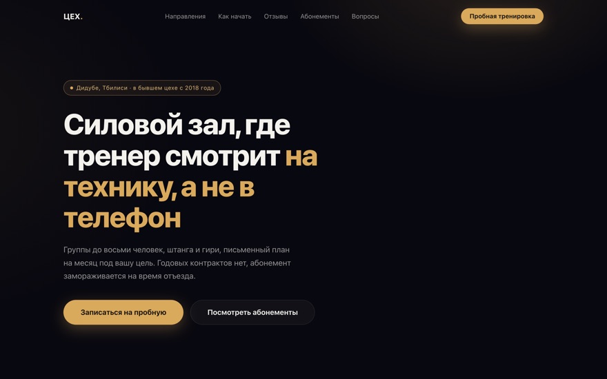 Скриншот демо: тёмный сайт фитнес-зала, крупный заголовок и кнопка пробной тренировки